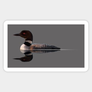 Loon Reflections Sticker